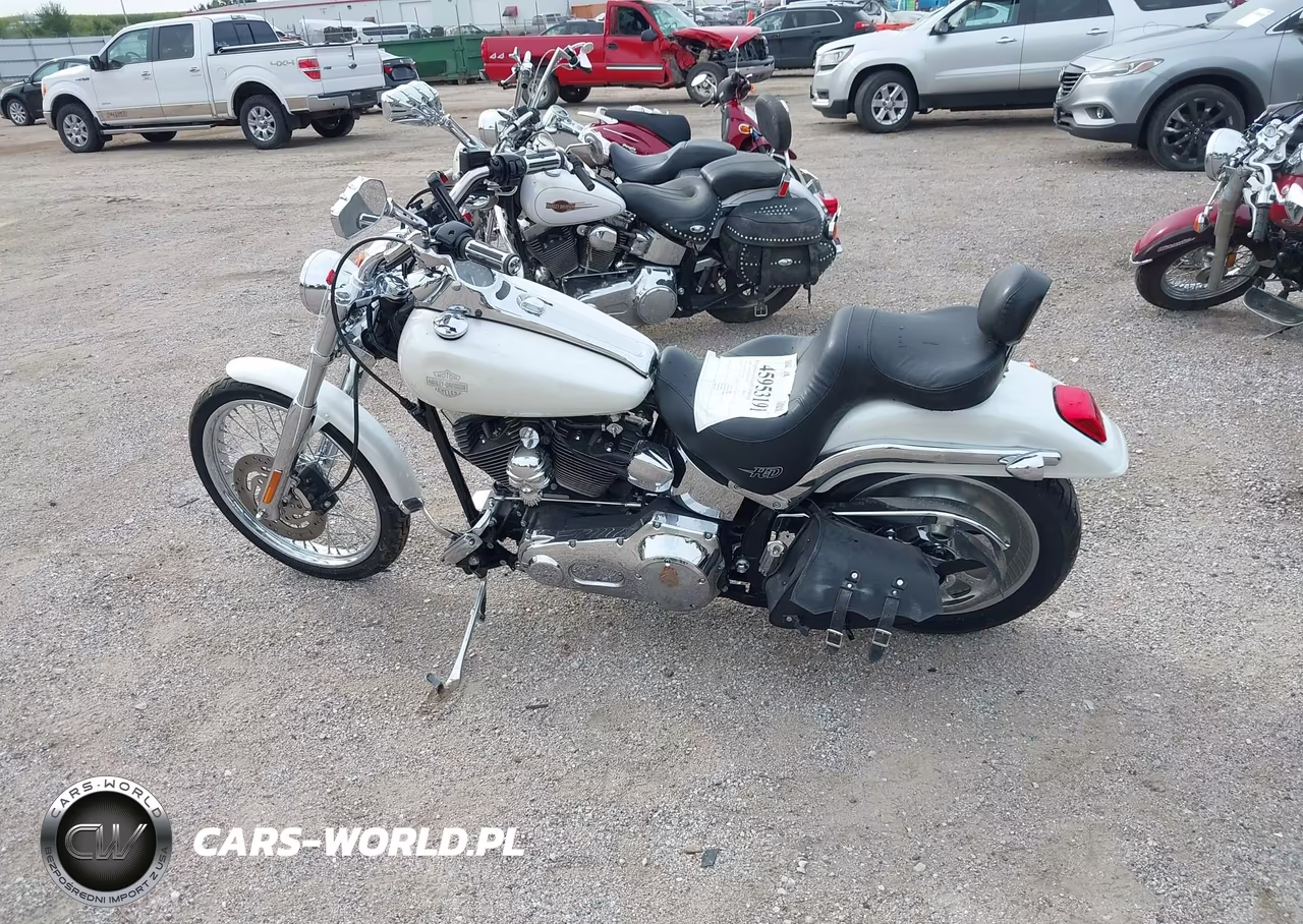 2004 Harley-Davidson Fxstd VIN:1HD1BSY194Y011835 - 14