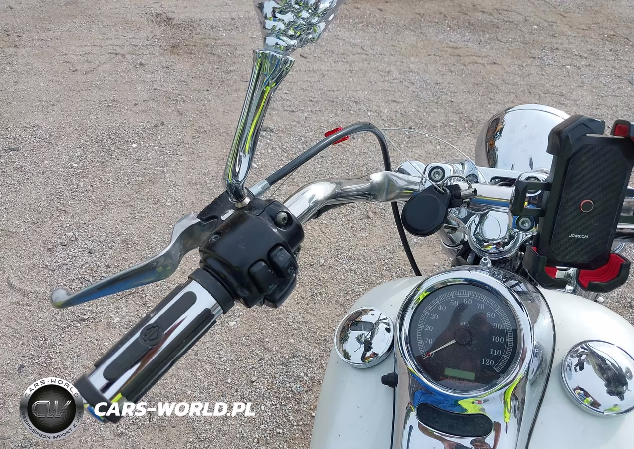 2004 Harley-Davidson Fxstd VIN:1HD1BSY194Y011835 - 15