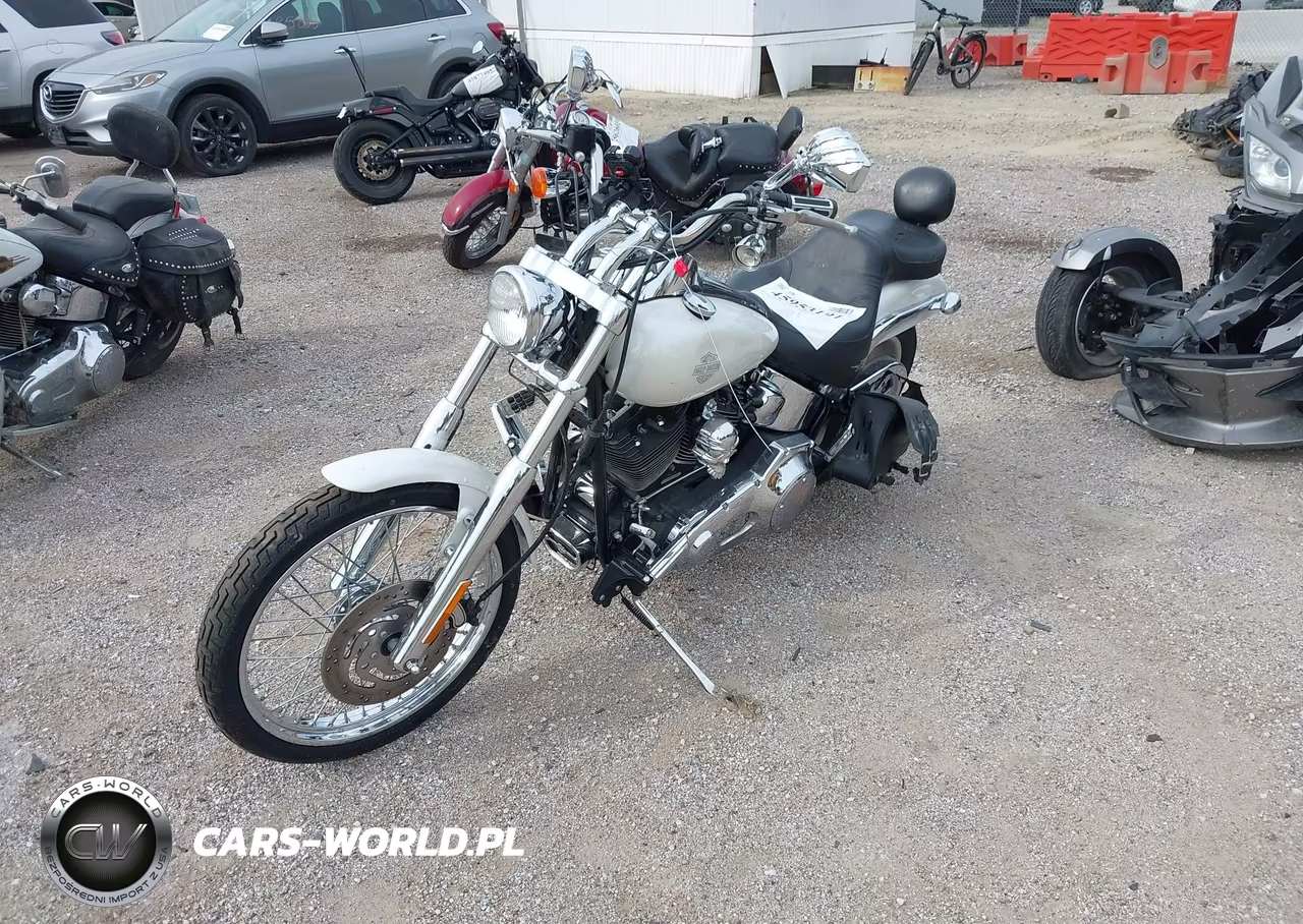 2004 Harley-Davidson Fxstd VIN:1HD1BSY194Y011835 - 2