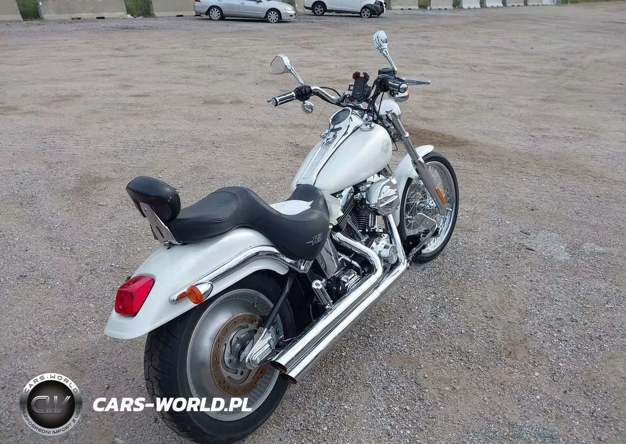 2004 Harley-Davidson Fxstd VIN:1HD1BSY194Y011835 - 4