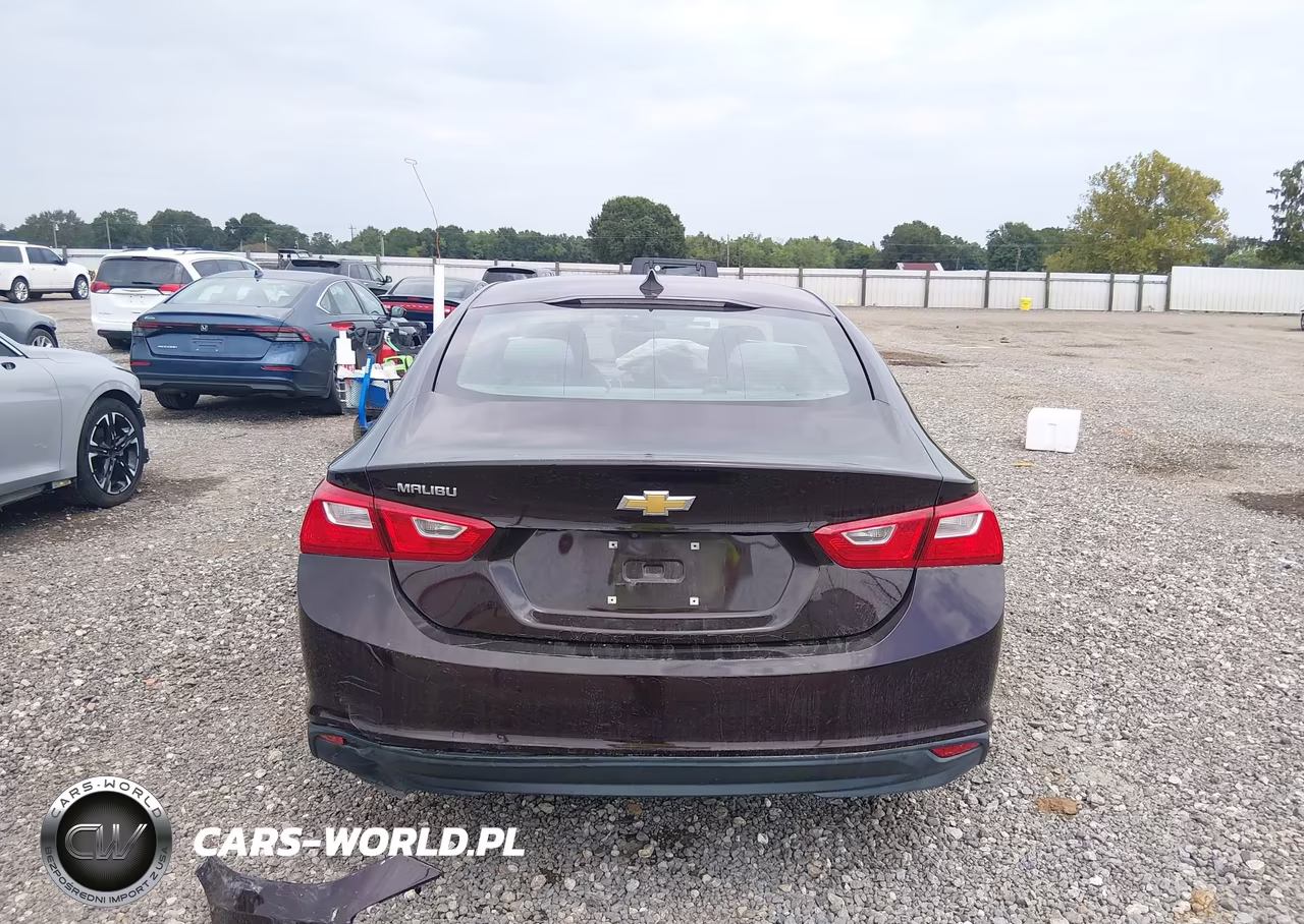 2020 Chevrolet Malibu Fwd 1Fl VIN:1G1ZC5ST4LF115150 - 17