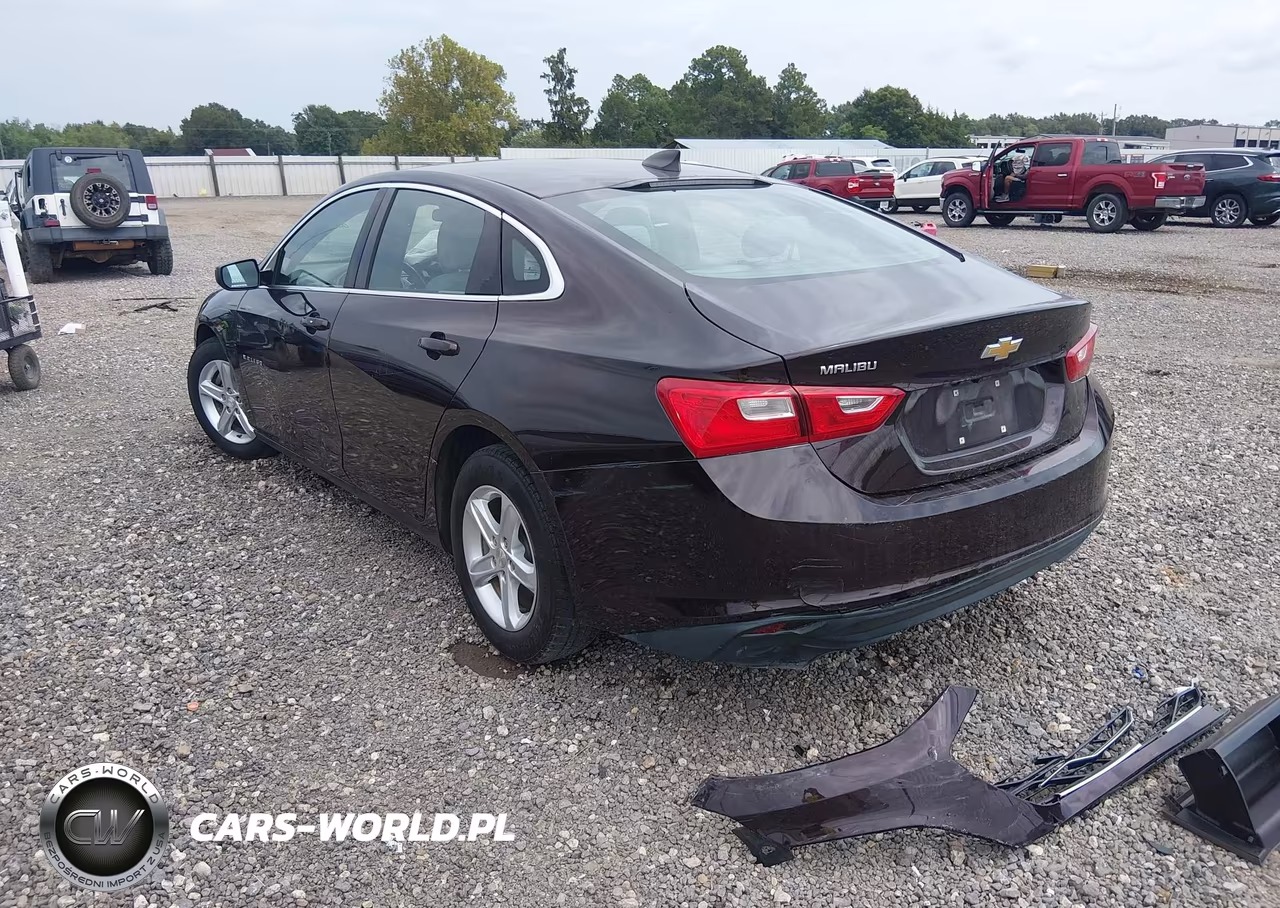 2020 Chevrolet Malibu Fwd 1Fl VIN:1G1ZC5ST4LF115150 - 3