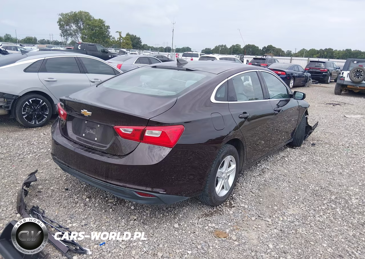 2020 Chevrolet Malibu Fwd 1Fl VIN:1G1ZC5ST4LF115150 - 4