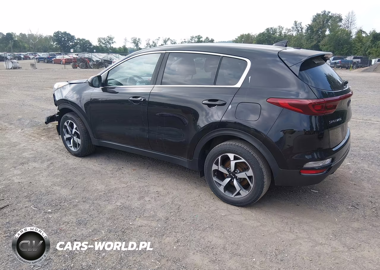 2020 Kia Sportage Lx VIN:KNDPM3AC3L7689606 - 3