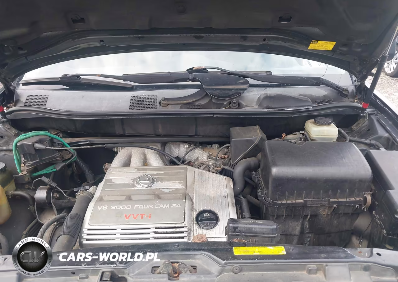 2002 Lexus Rx 300 VIN:JTJHF10U620245976 - 10