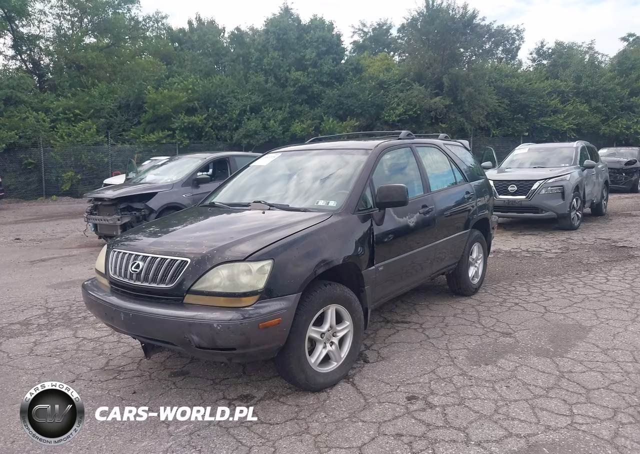 2002 Lexus Rx 300 VIN:JTJHF10U620245976 - 2