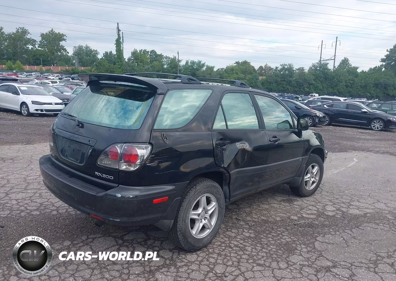2002 Lexus Rx 300 VIN:JTJHF10U620245976 - 4