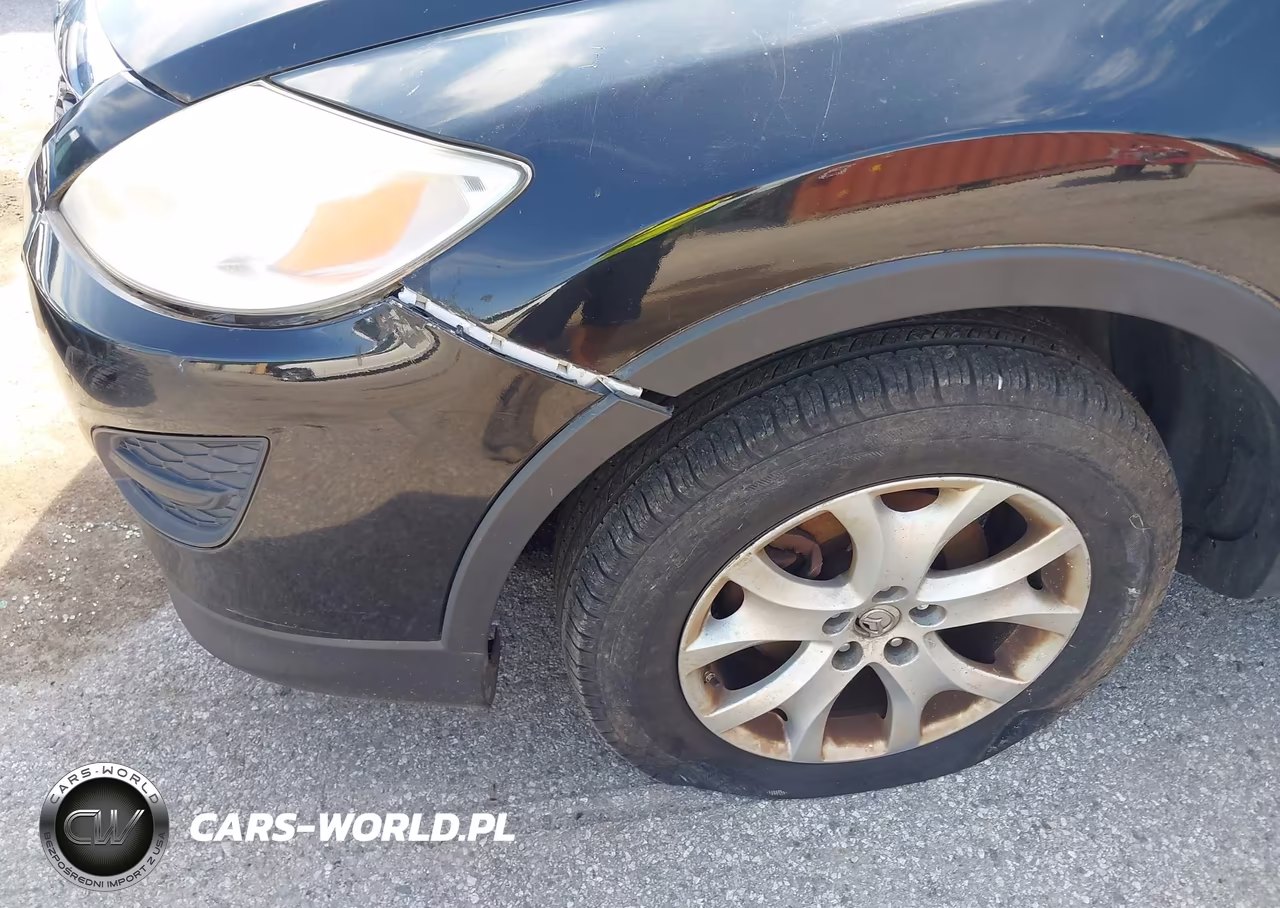 2011 Mazda Cx-9 Touring VIN:JM3TB3CV3B0326272 - 17