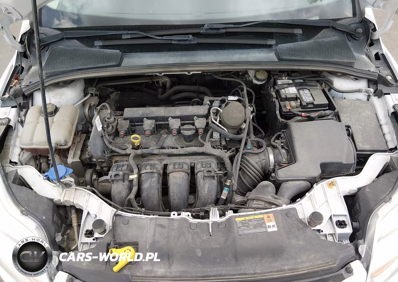 2014 Ford Focus Se VIN:1FADP3K27EL163768 - 10