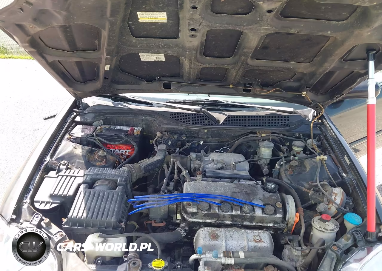 2000 Honda Civic Ex VIN:1HGEJ8149YL050684 - 10