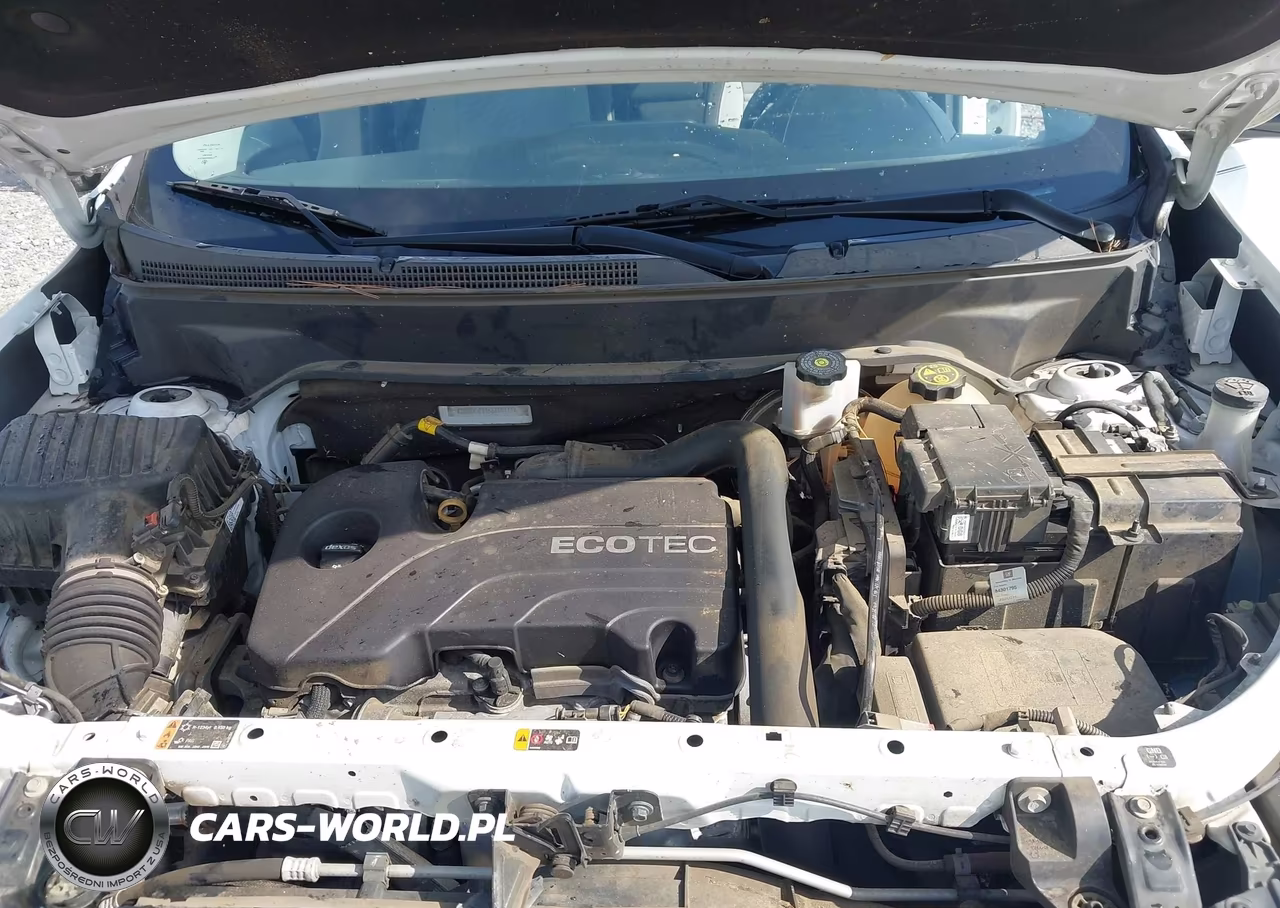 2019 Chevrolet Equinox Ls VIN:2GNAXHEV1K6169111 - 10