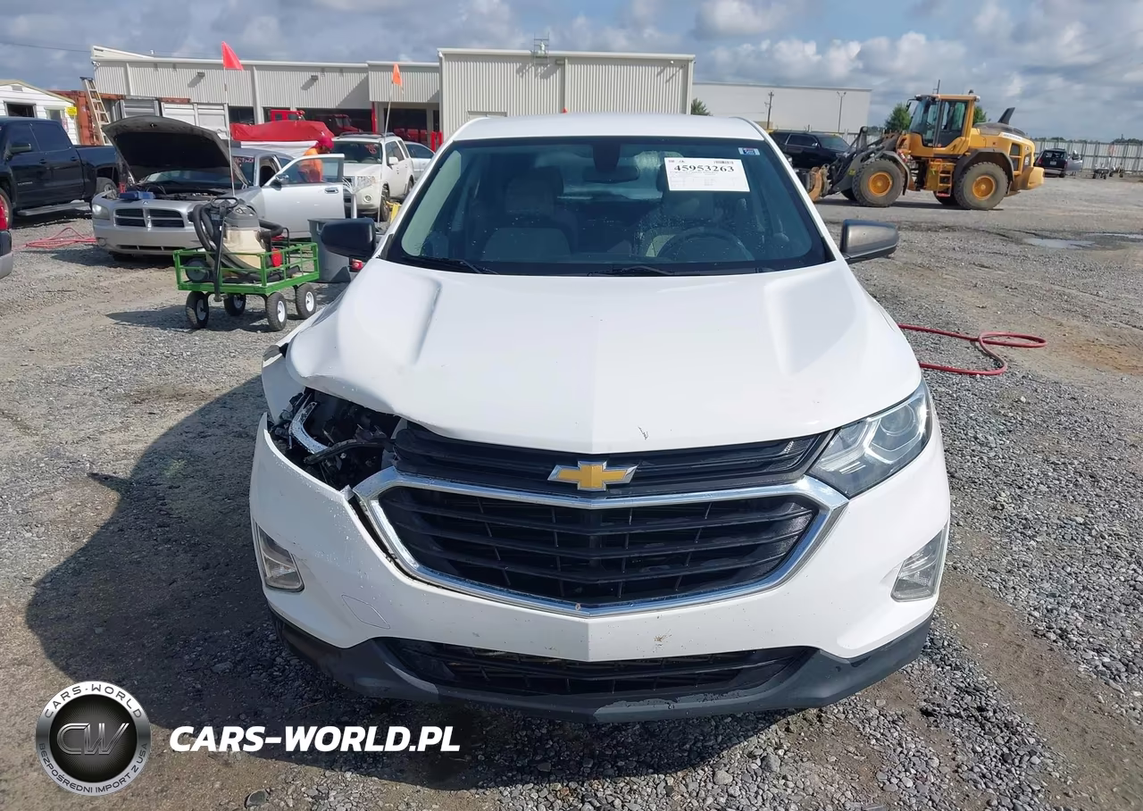 2019 Chevrolet Equinox Ls VIN:2GNAXHEV1K6169111 - 12