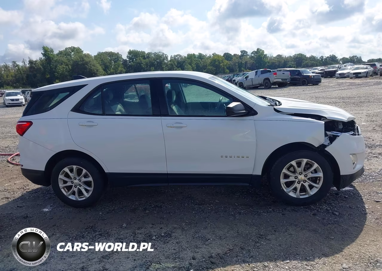 2019 Chevrolet Equinox Ls VIN:2GNAXHEV1K6169111 - 13