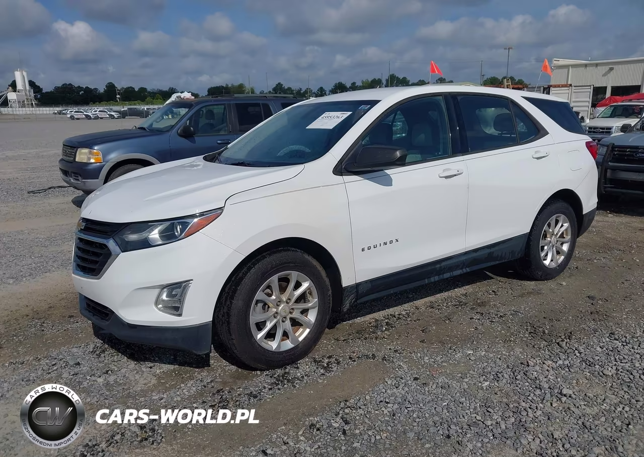 2019 Chevrolet Equinox Ls VIN:2GNAXHEV1K6169111 - 2