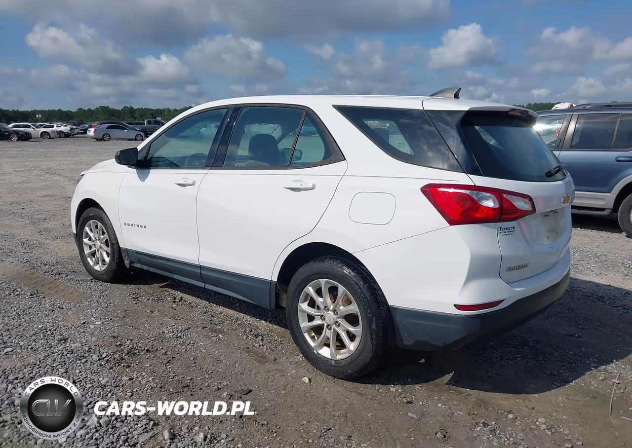 2019 Chevrolet Equinox Ls VIN:2GNAXHEV1K6169111 - 3