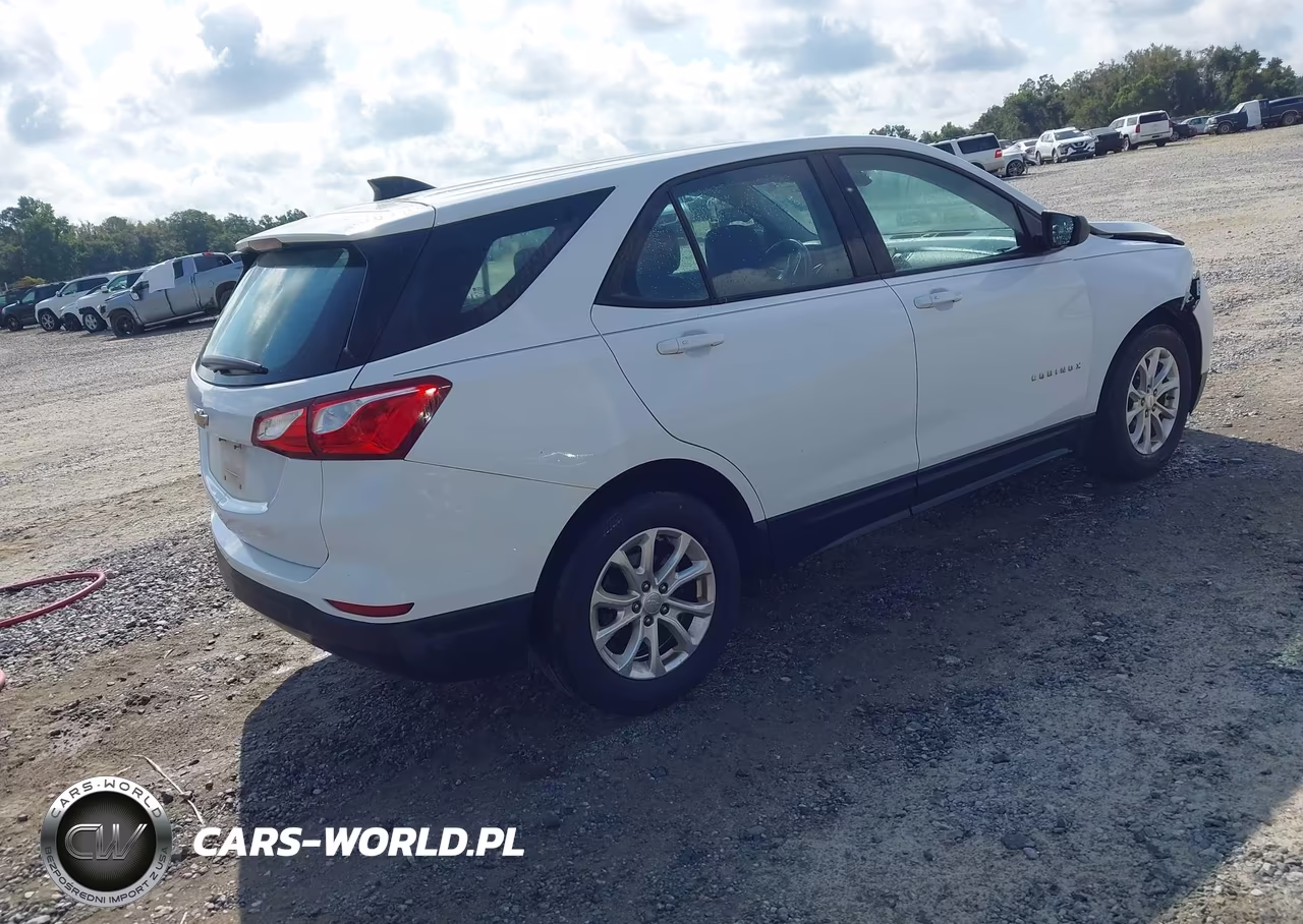 2019 Chevrolet Equinox Ls VIN:2GNAXHEV1K6169111 - 4