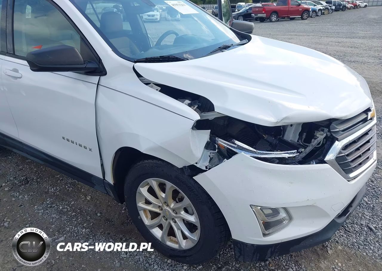 2019 Chevrolet Equinox Ls VIN:2GNAXHEV1K6169111 - 6
