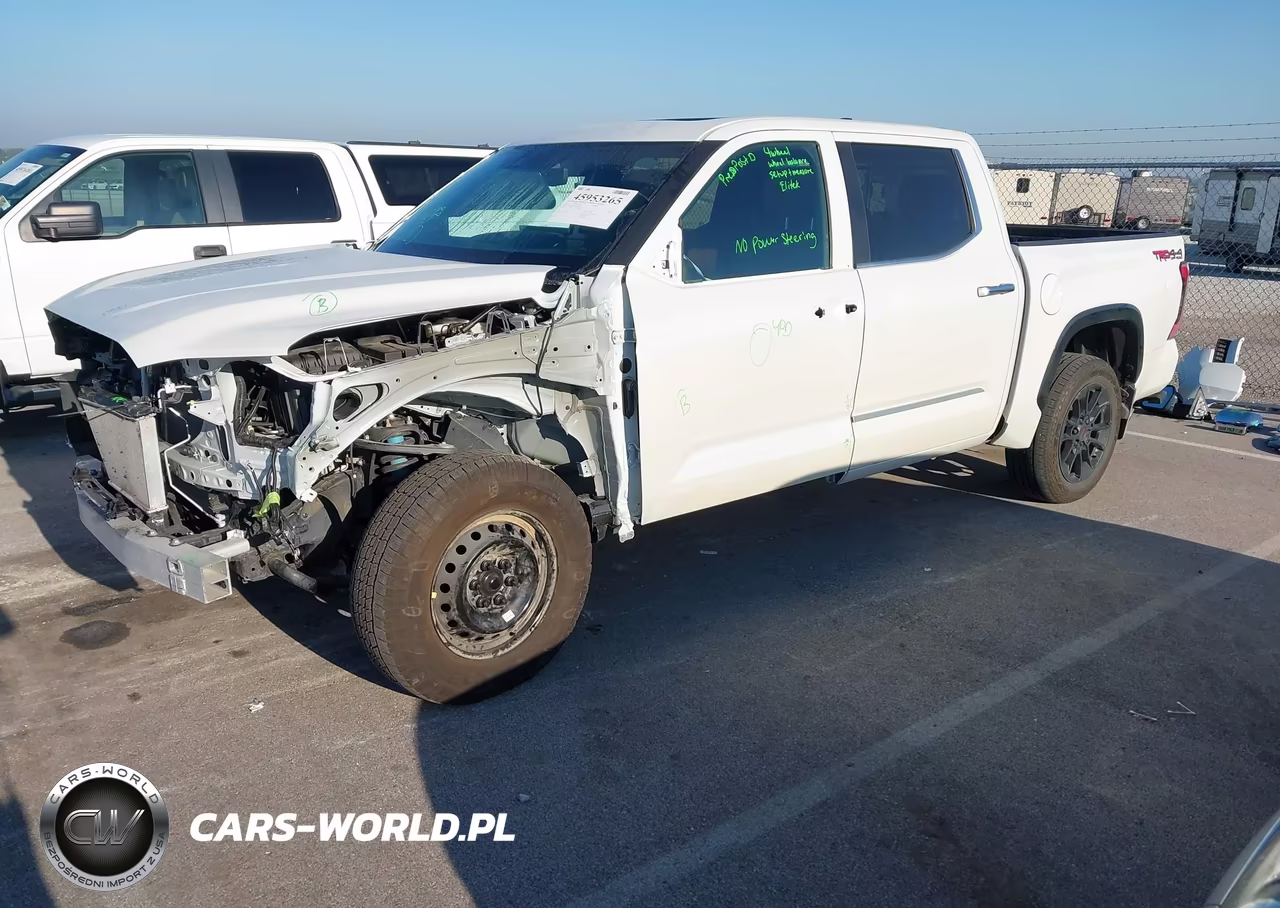 2025 Toyota Tundra 1794 Edition VIN:5TFMA5DB3SX257753 - 2