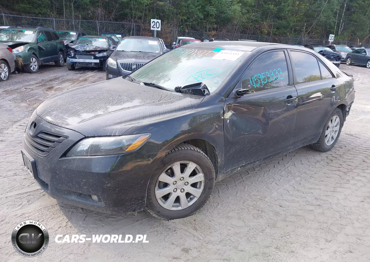 2009 Toyota Camry Xle V6 VIN:4T1BK46KX9U589191 - 2