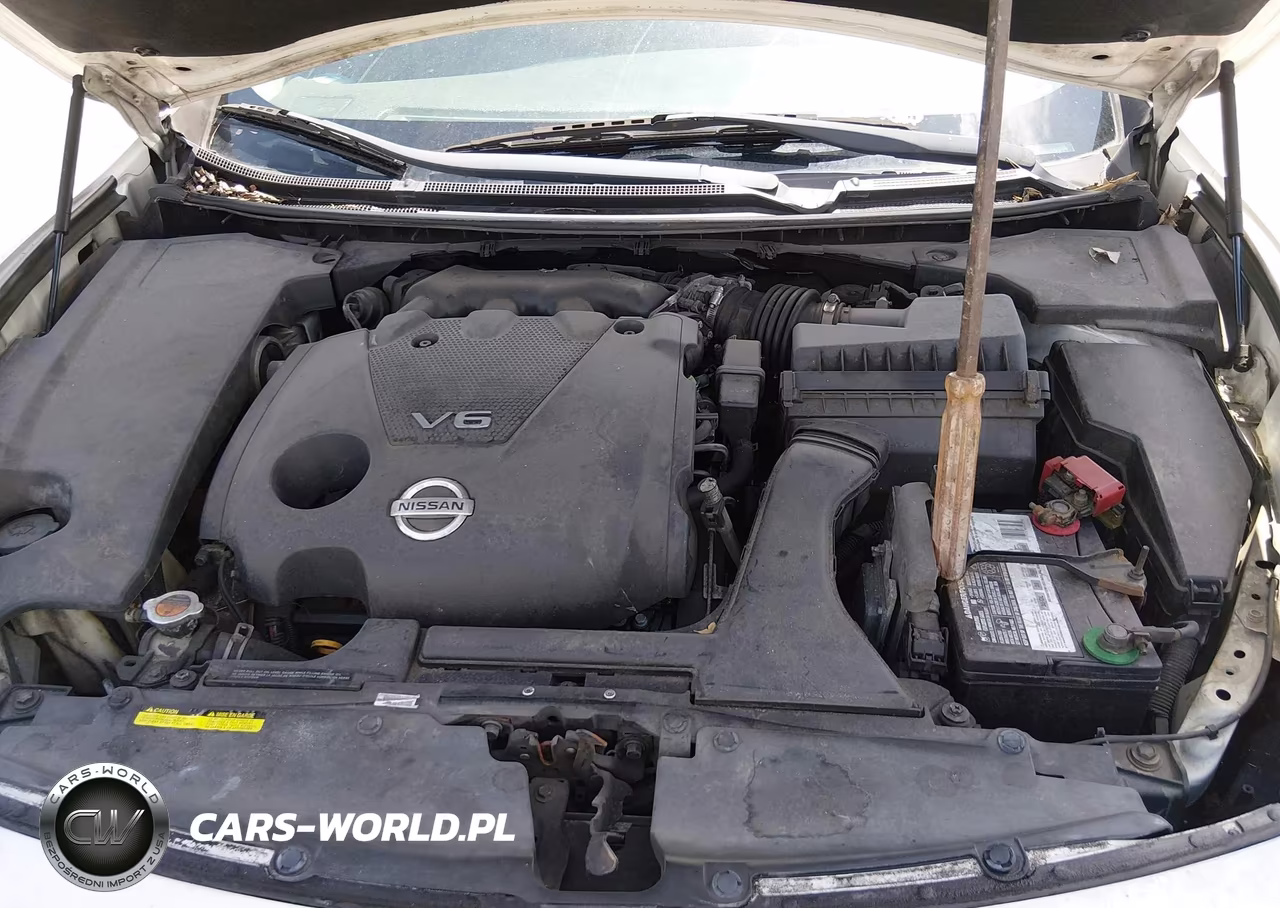 2014 Nissan Maxima 3.5 S-3.5 Sv VIN:1N4AA5AP1EC464940 - 10