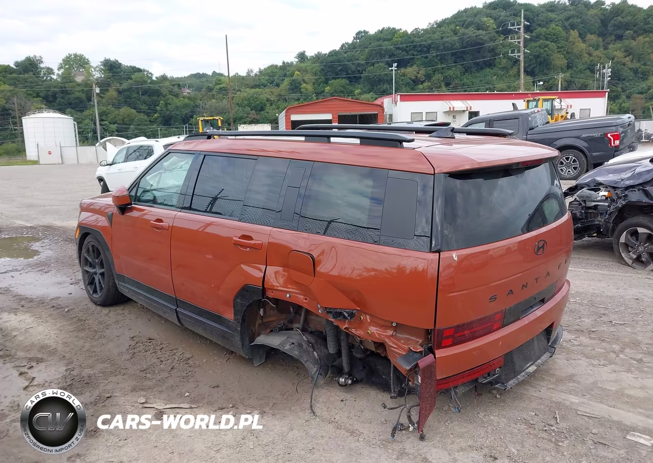 2024 Hyundai Santa Fe Calligraphy VIN:5NMP5DGL9RH067202 - 3