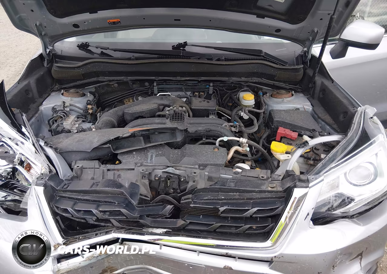 2018 Subaru Forester 2.5I Limited VIN:JF2SJARC1JH556847 - 10