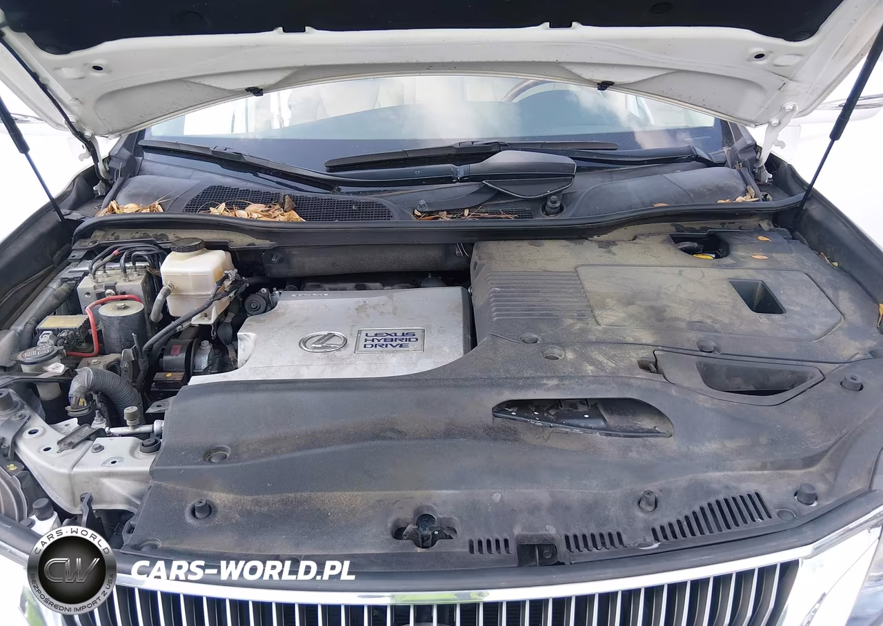 2010 Lexus Rx 450H VIN:JTJZB1BA4A2000812 - 10