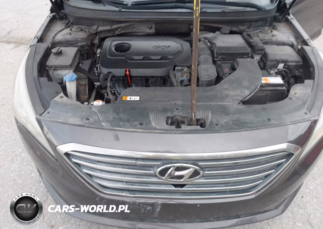 2016 Hyundai Sonata Se VIN:5NPE24AF4GH433683 - 10