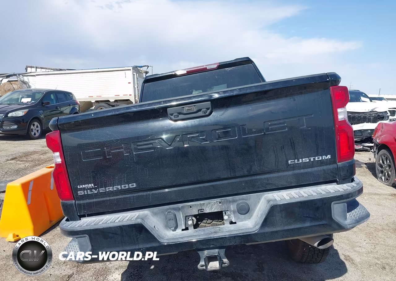 2020 Chevrolet Silverado 2500Hd 4Wd Standard Bed Custom VIN:1GC4YME70LF271942 - 16
