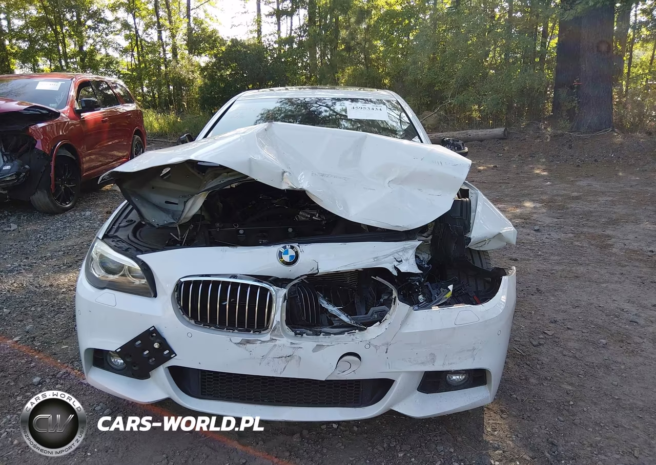2016 BMW 528I VIN:WBA5A5C50GD529570 - 12