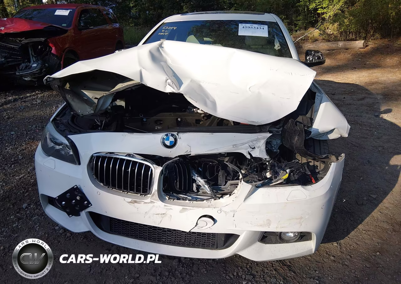 2016 BMW 528I VIN:WBA5A5C50GD529570 - 6