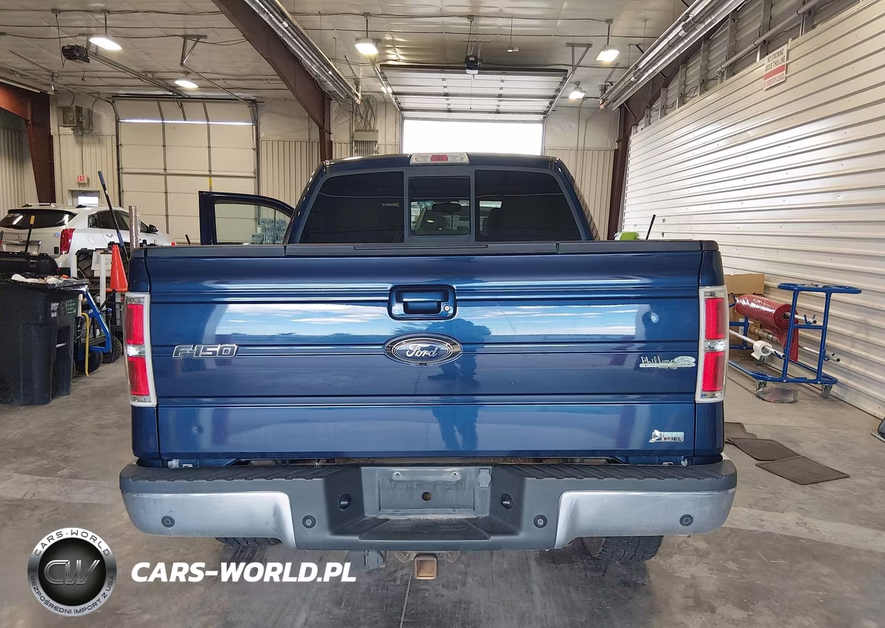 2010 Ford F-150 Fx4-Harley-Davidson-King Ranch-Lariat-Platinum-Xl-Xlt VIN:1FTFW1EV2AFB37927 - 16