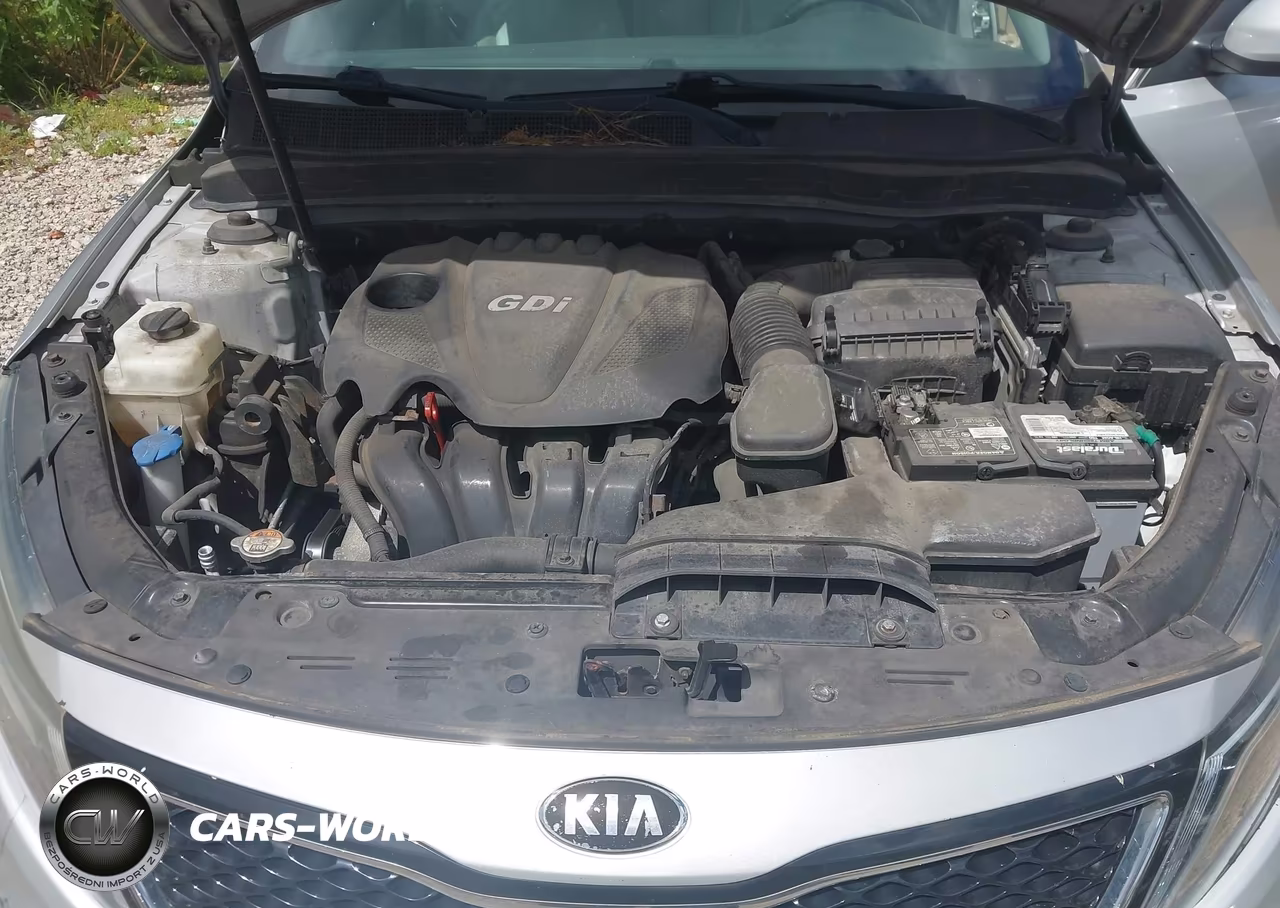 2014 Kia Optima Ex VIN:5XXGN4A75EG273914 - 10