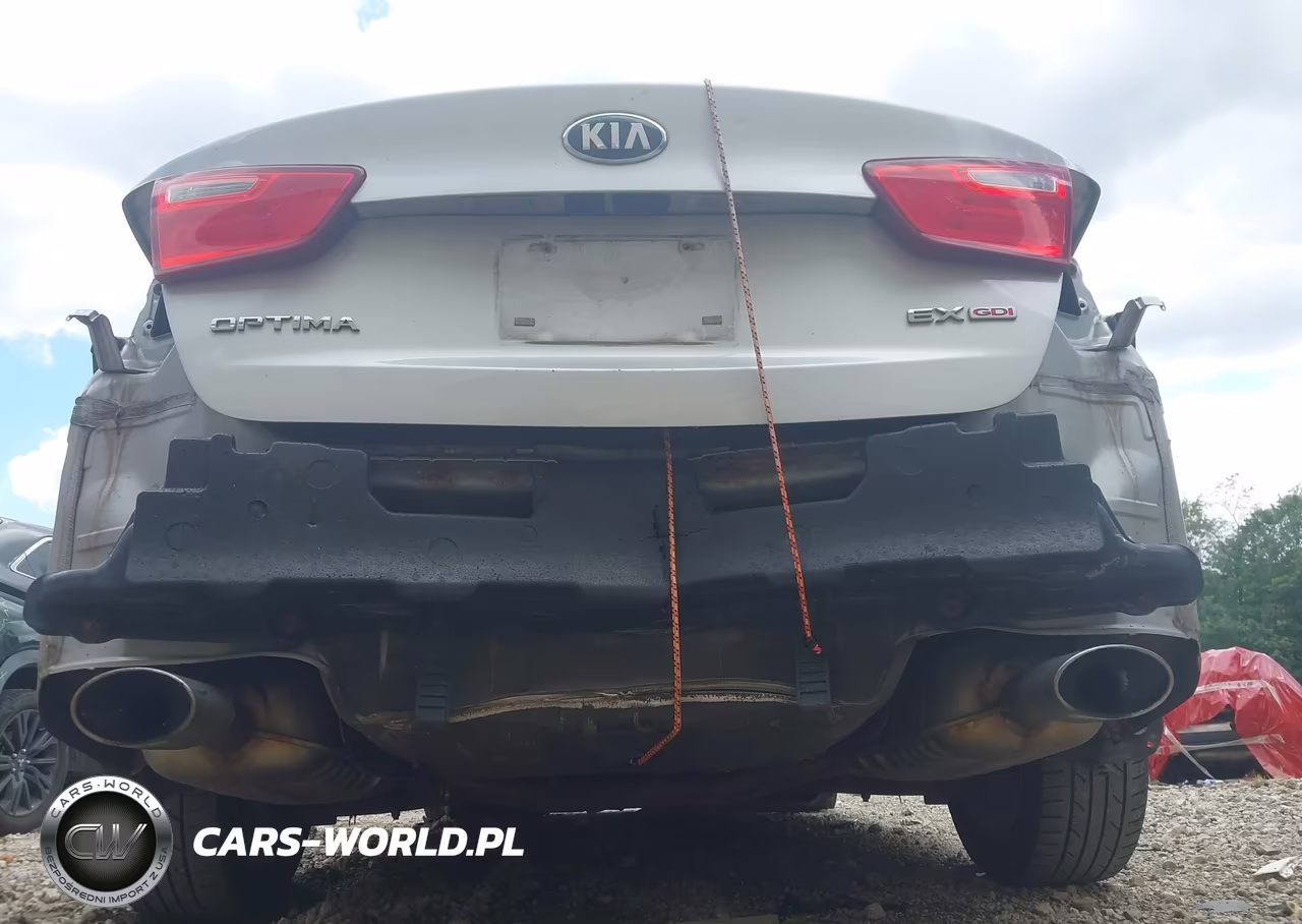 2014 Kia Optima Ex VIN:5XXGN4A75EG273914 - 13