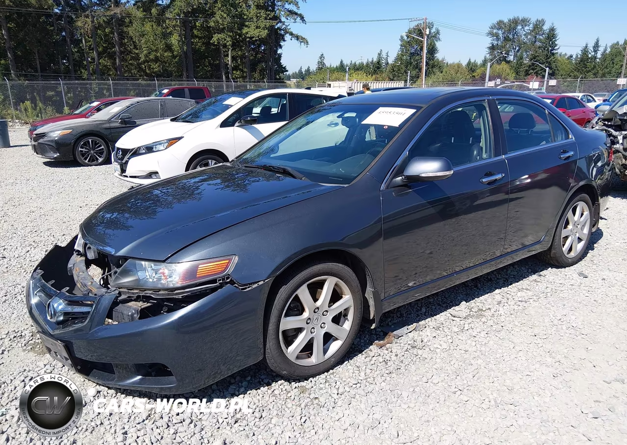 2005 Acura Tsx VIN:JH4CL96845C023355 - 2