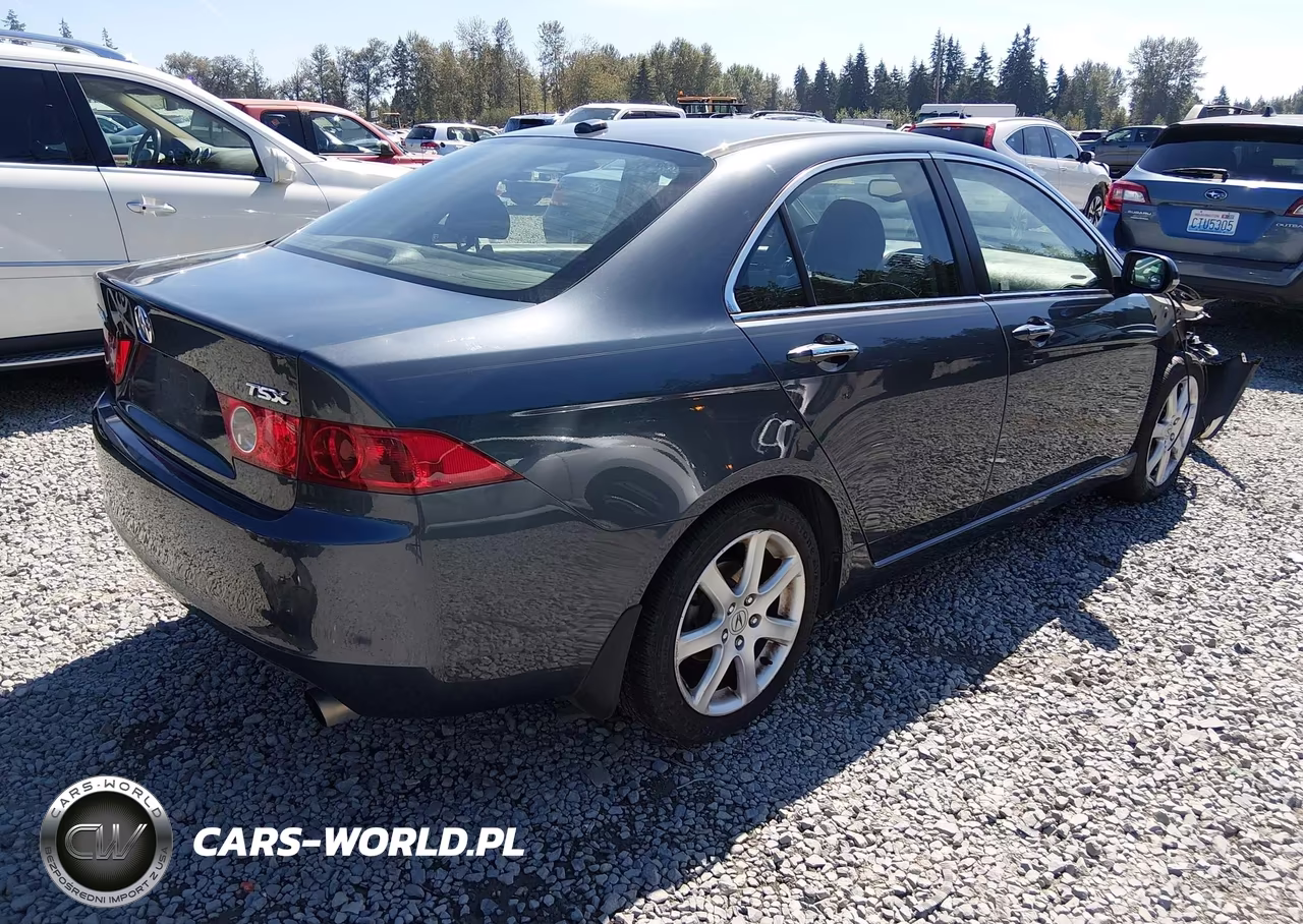 2005 Acura Tsx VIN:JH4CL96845C023355 - 4