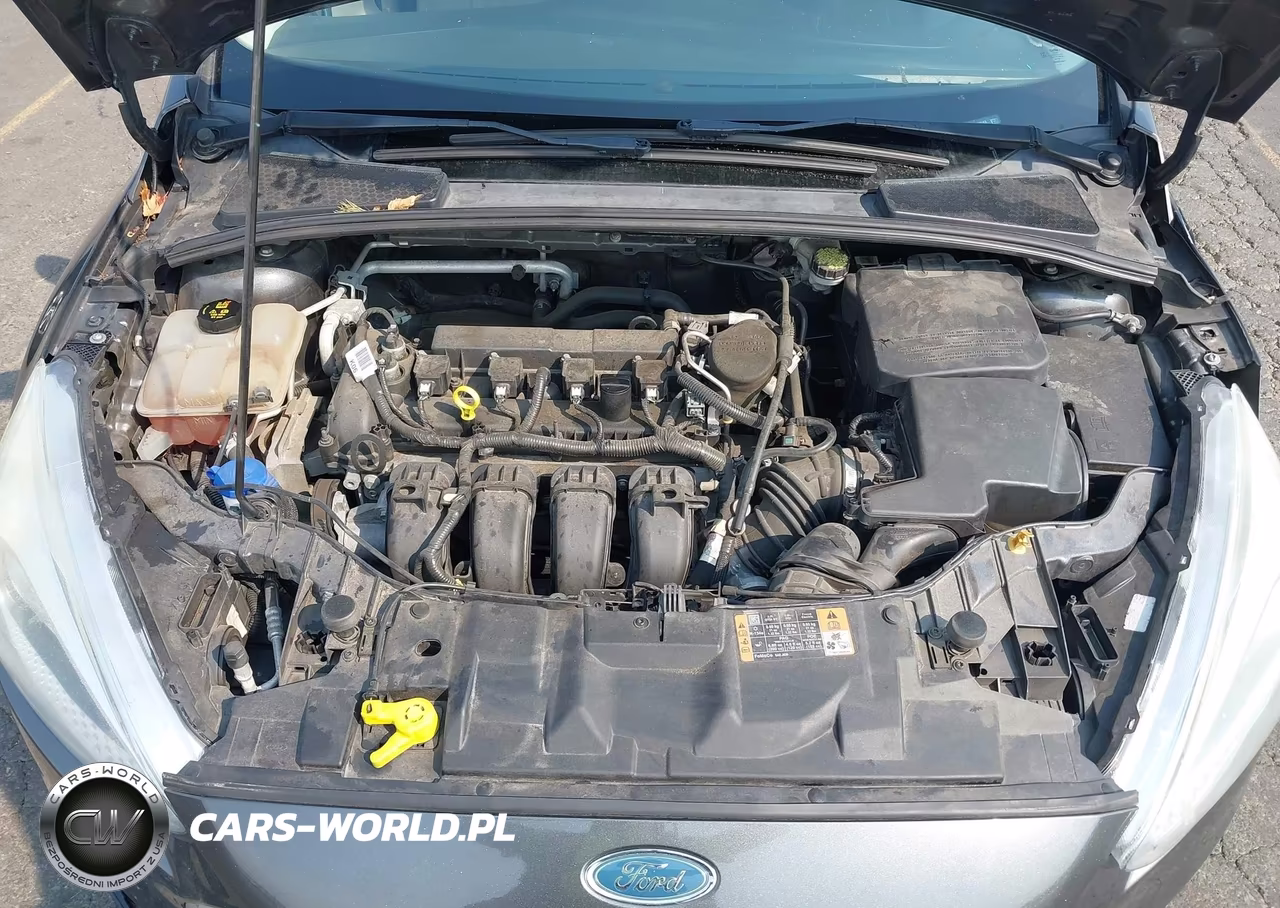 2015 Ford Focus Se VIN:1FADP3F26FL232588 - 10