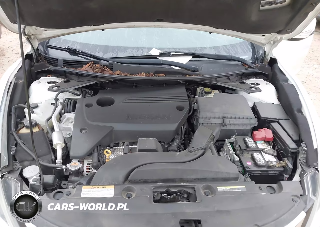 2016 Nissan Altima 2.5 Sl VIN:1N4AL3AP4GC150393 - 10