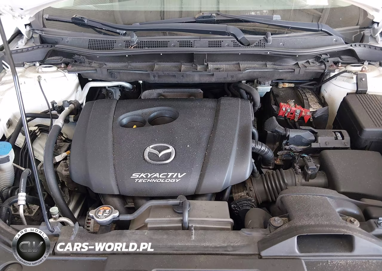 2014 Mazda Cx-5 Sport VIN:JM3KE2BE1E0424834 - 10