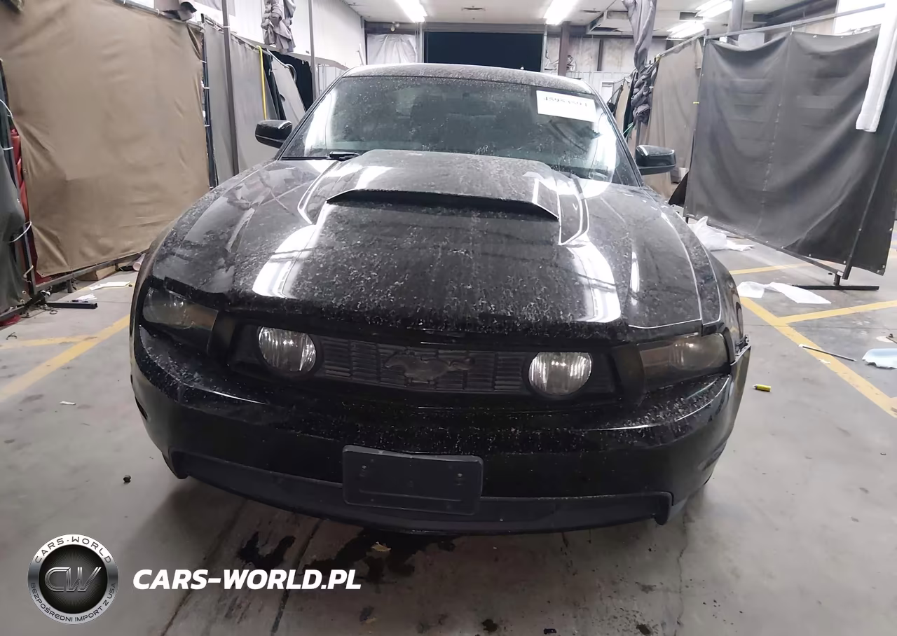 2011 Ford Mustang Gt Premium VIN:1ZVBP8CF8B5169835 - 12