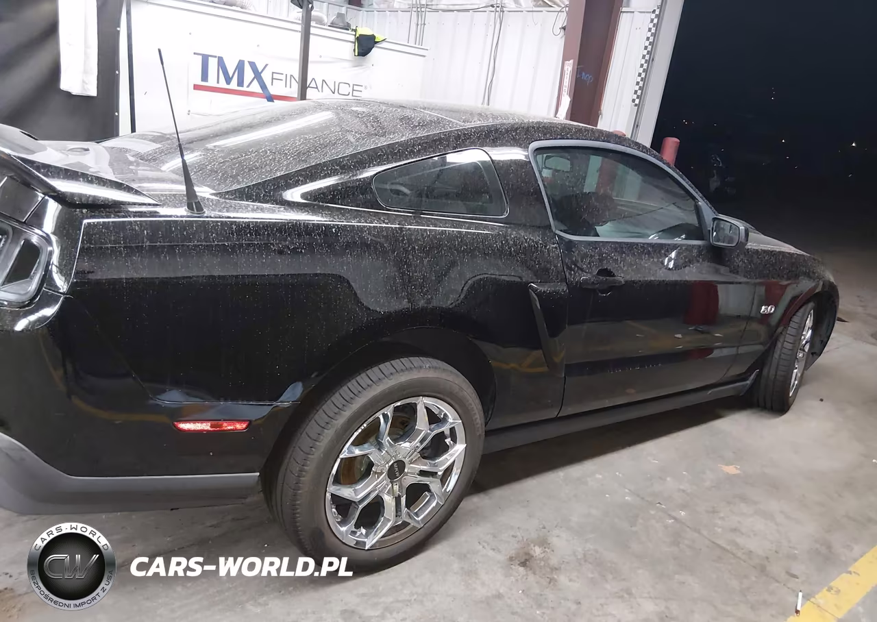 2011 Ford Mustang Gt Premium VIN:1ZVBP8CF8B5169835 - 13