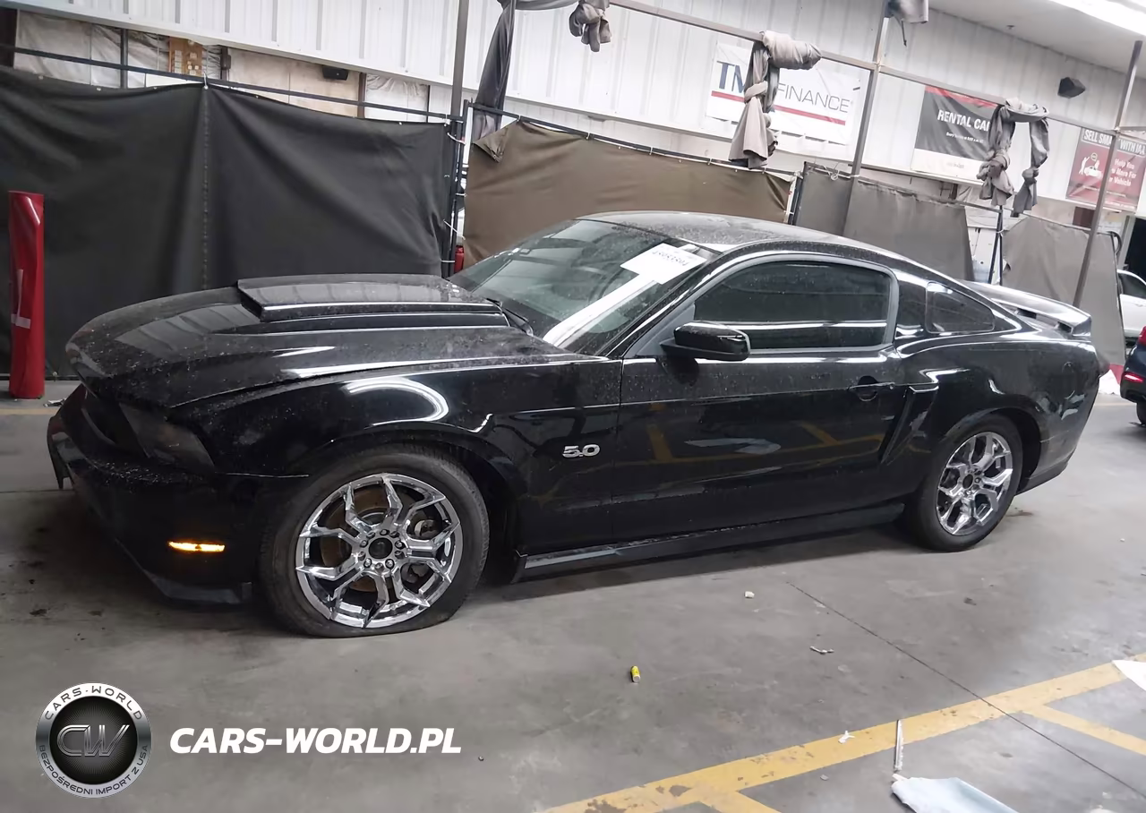 2011 Ford Mustang Gt Premium VIN:1ZVBP8CF8B5169835 - 14