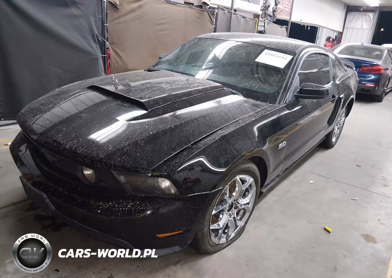 2011 Ford Mustang Gt Premium VIN:1ZVBP8CF8B5169835 - 2