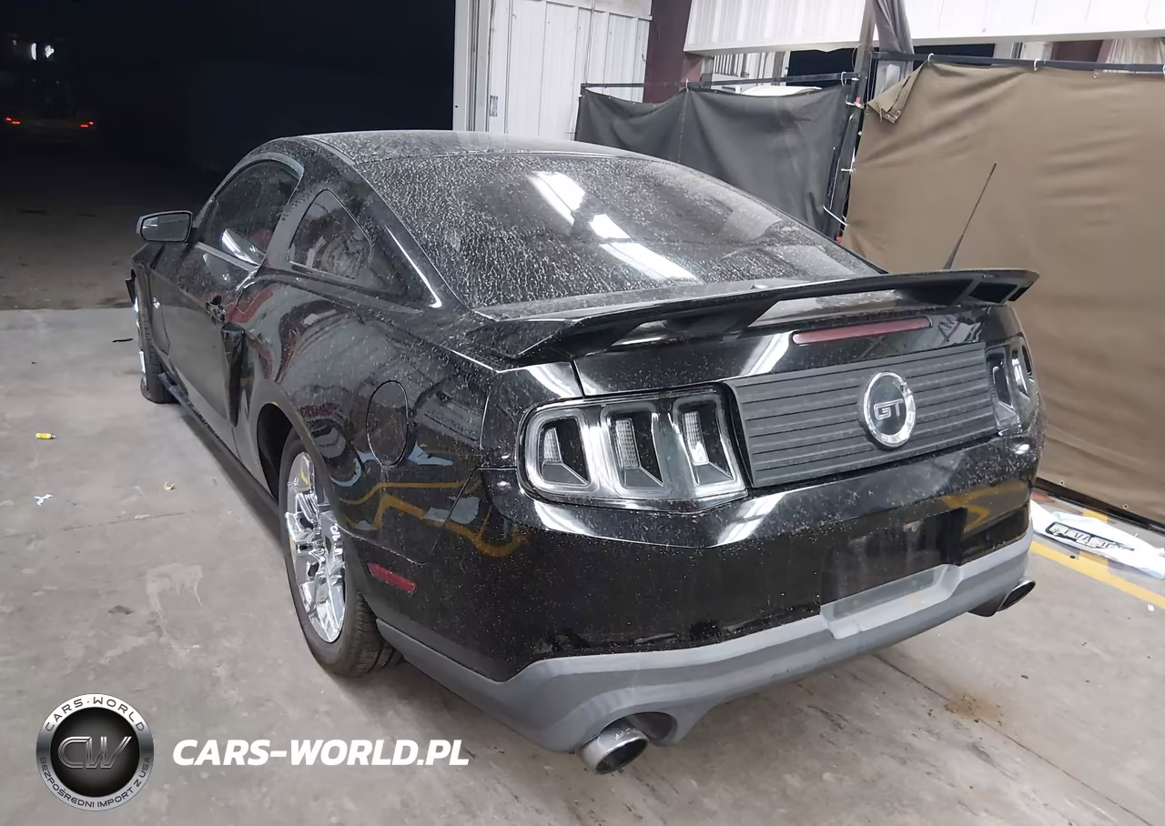 2011 Ford Mustang Gt Premium VIN:1ZVBP8CF8B5169835 - 3