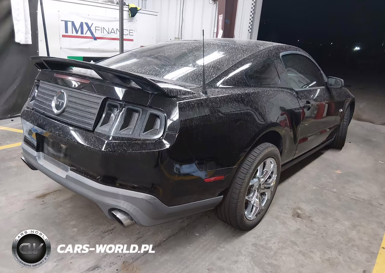 2011 Ford Mustang Gt Premium VIN:1ZVBP8CF8B5169835 - 4