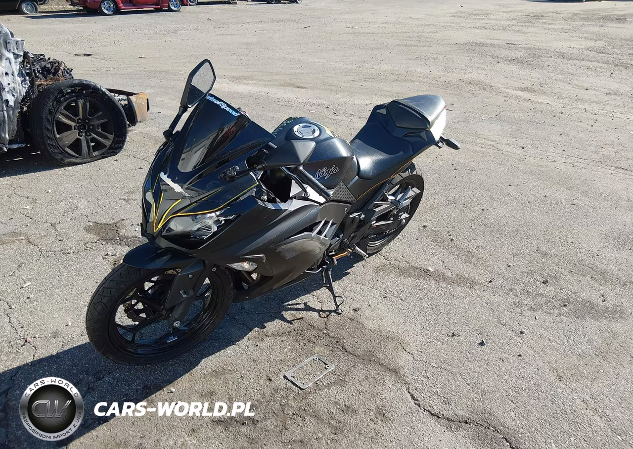 2016 Kawasaki Ex300 A – zdjęcie 1 z 13