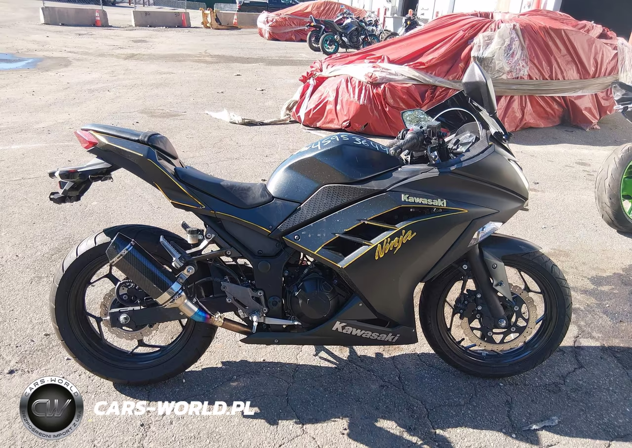 2016 Kawasaki Ex300 A VIN:JKAEX8A10GDA26041 - 13