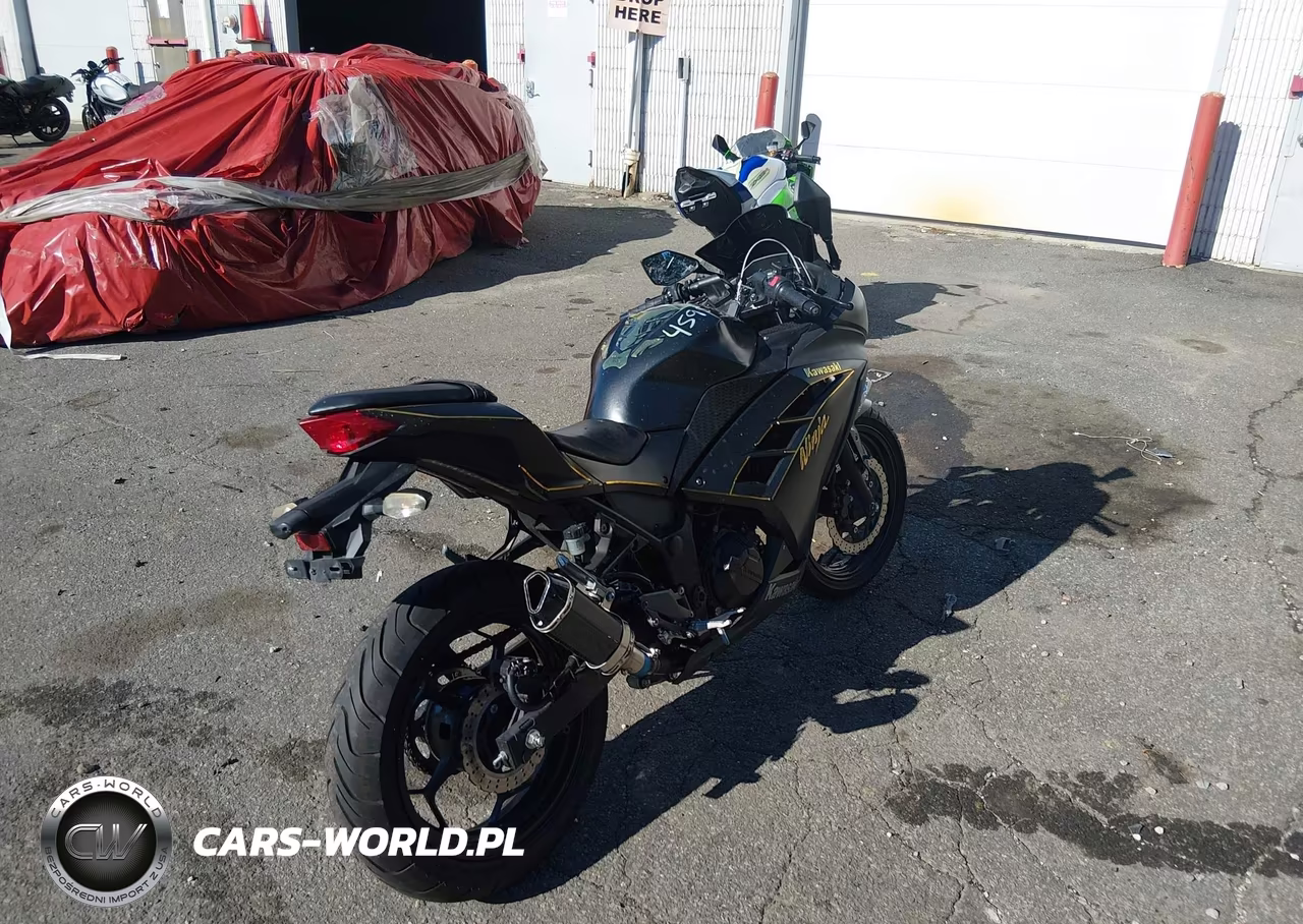 2016 Kawasaki Ex300 A VIN:JKAEX8A10GDA26041 - 3