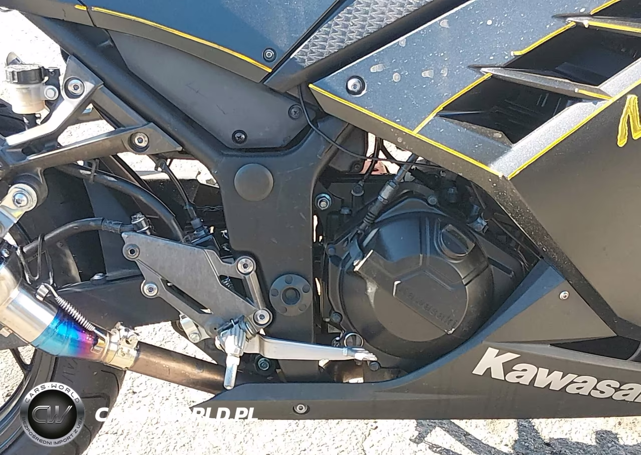 2016 Kawasaki Ex300 A VIN:JKAEX8A10GDA26041 - 9