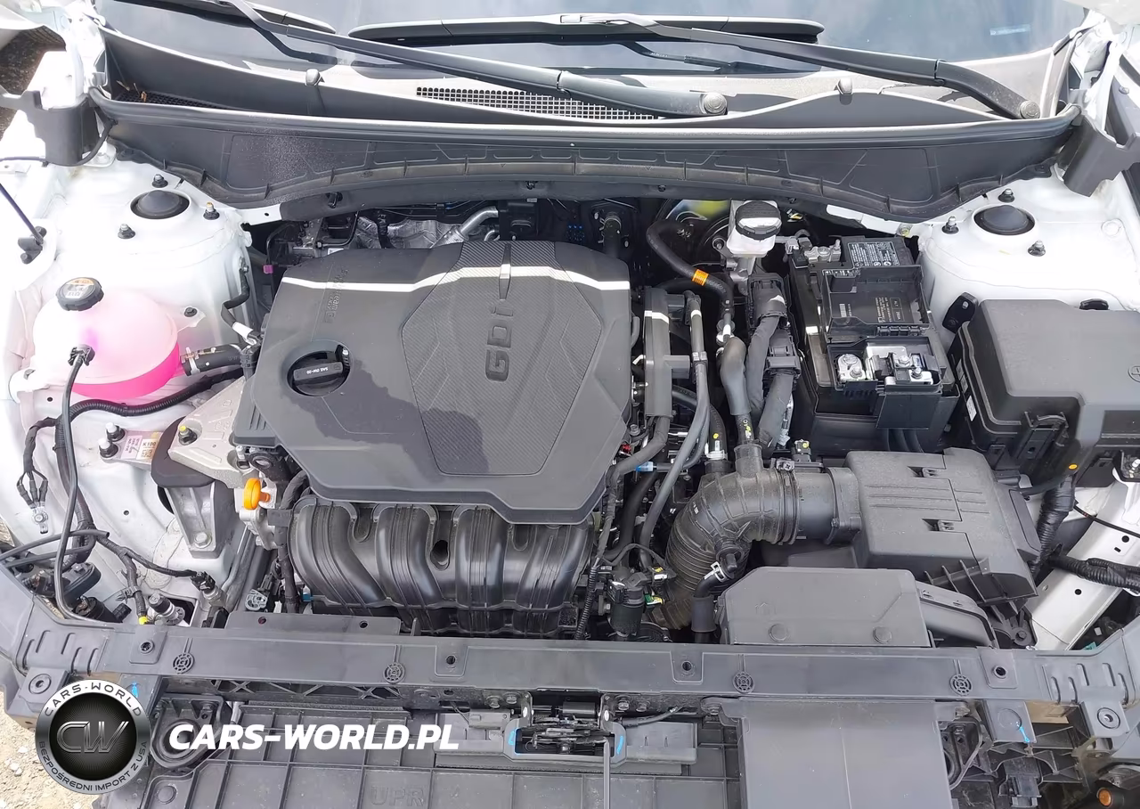 2024 Hyundai Tucson Limited VIN:5NMJECDE4RH407992 - 10